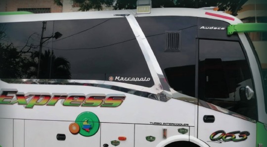 Tiara Lateral Tipo NEW - TLTNMPA018060