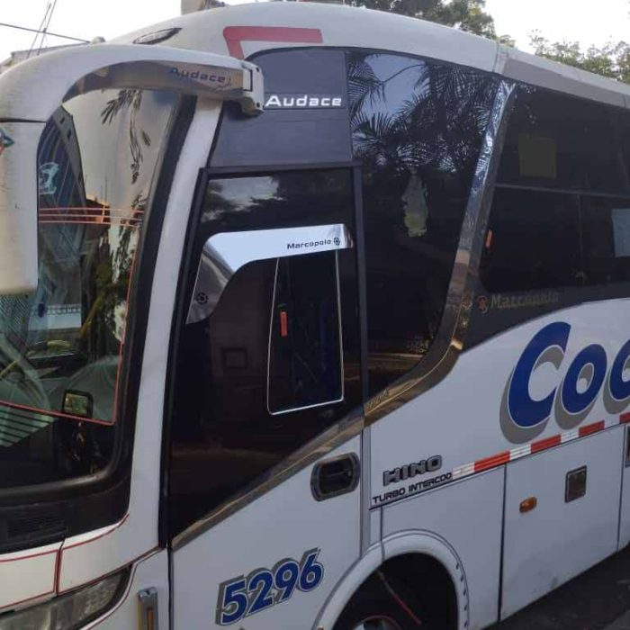 Tiara Lateral Tipo Original - TLTOMPAM008468