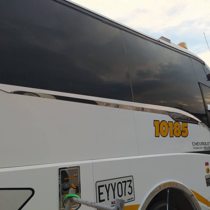 Tiaras Laterales - TLAS0011624